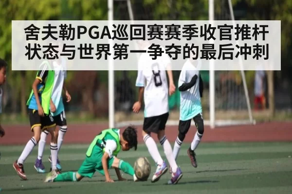舍夫勒PGA巡回赛赛季收官推杆状态与世界第一争夺的最后冲刺